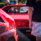 Illustration for article titled New Zealand: Caffeine Classics Photo Dump